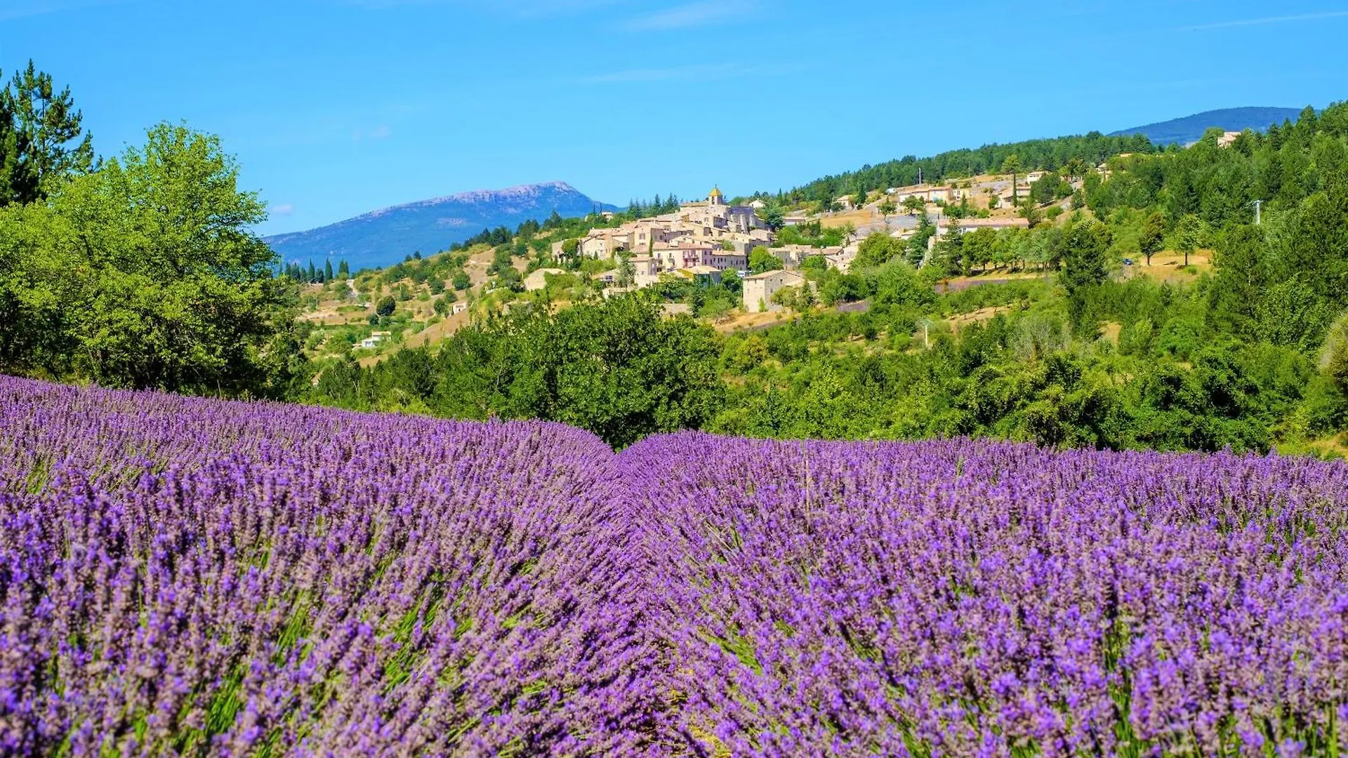 Village Vacances Le Hameau Des Oliviers Vaison-la-Romaine Hotel